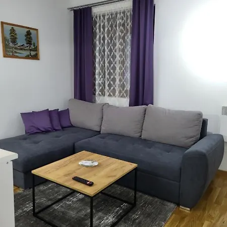 Forest Apartment&spa * Zlatibor