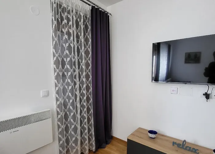 Forest & 즐라티보